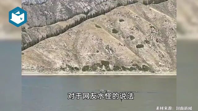 天山天池里到底是什么?景区回应