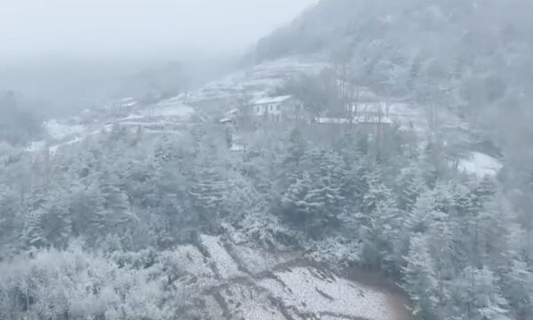 重庆巫溪:高海拔地区降雪,美景引人醉