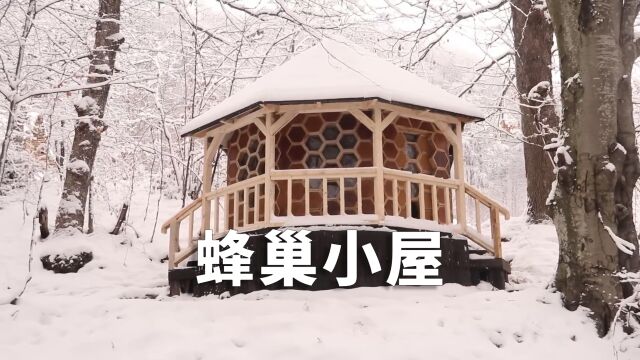 野外建造:男人仅花费三个月的时间,就在野外建造了这么漂亮的小屋