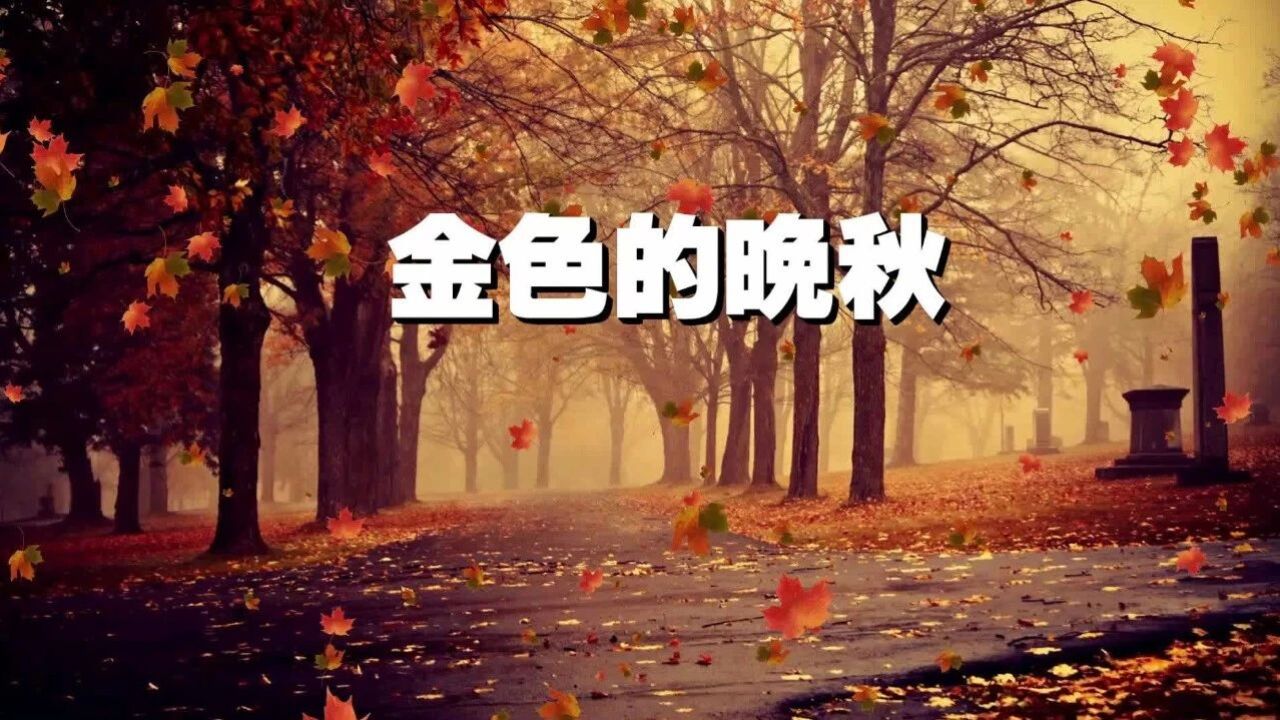 歌曲《金色的晚秋》(刘凡作词、吴建明作曲、徐子默演唱)||放歌东方_腾讯视频