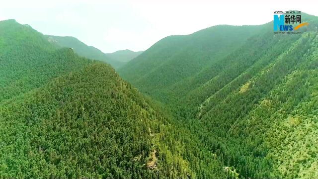 神州答卷丨山水变金银的生动答卷——内蒙古生态建设助力文旅产业腾飞