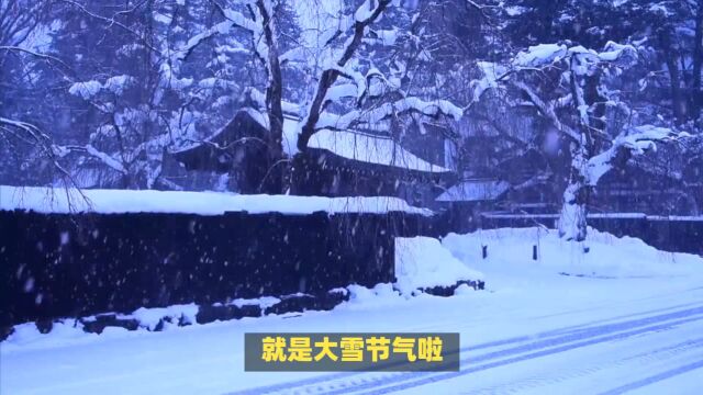 大雪节气到了,今年冬天雪大不大,答案来啦