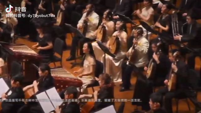 高胡独奏《小鸟天堂》(作曲/独奏:卜灿荣)(伴奏:中央民族乐团等)