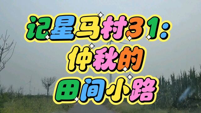 记星马村31:仲秋的田间小路