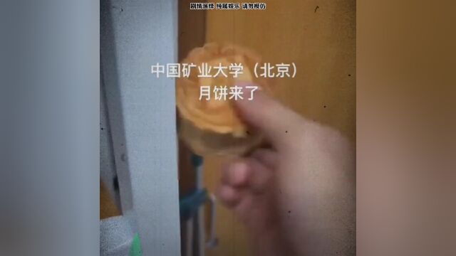 四大月饼 视频