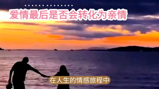 爱情与亲情:情感的归宿何处去?