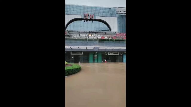 台风组团来袭,大湾区遭遇百年不遇之暴雨.黑兔之年,全球灾难重重,愿国泰民安,世界和平!