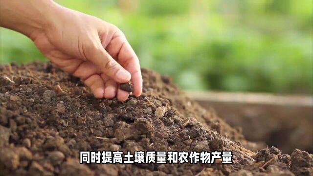 解锁土地的宝藏:新农人阿坤分享提高堆肥利用率的正确方法