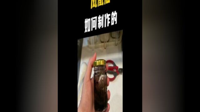 真是涨知识了,竟有人用头发来制作中药