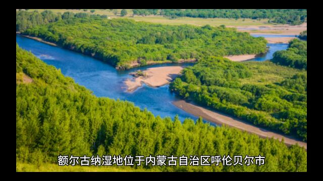 地球之肺———额尔古纳湿地