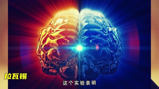 拉瓦锡用生命证明大脑的意识,意识是怎样产生的?本质是什么?