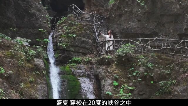 在炎炎夏日里我找到了一处只有21度的避暑胜地野三坡