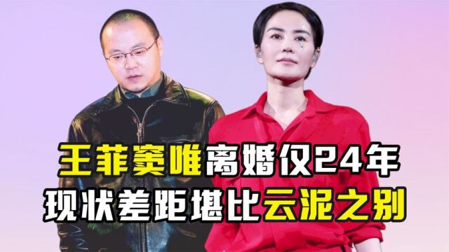 离婚仅仅24年,王菲与窦唯如今的人生境遇,到底有何不同?