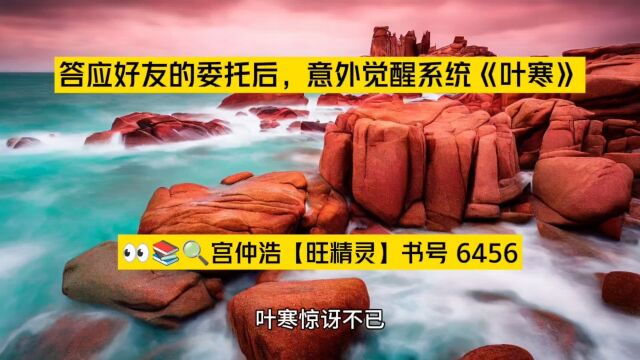 答应好友的委托后,意外觉醒系统《叶寒》小说在线阅读○完整版