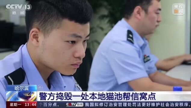 【警方视点】哈尔滨警方捣毁一处“猫池”帮信窝点