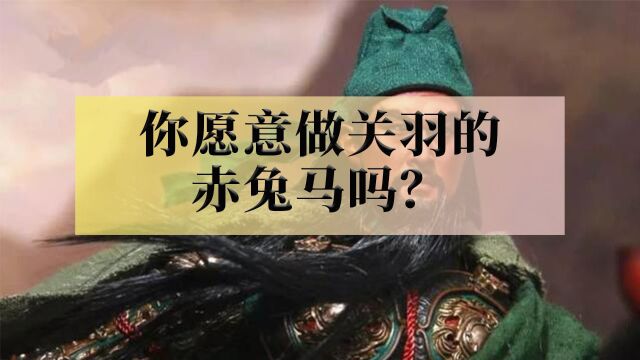 如果回到三国,你愿意做关羽的赤兔吗?