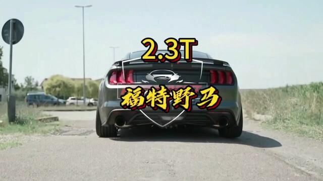 2.3T的野马到底行不行?你的车有信心跑赢吗? #福特野马 #油门到底7000转