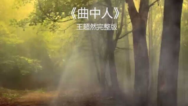 初闻不知曲中意,再听已是曲终人#曲中人完整版#热门歌曲#音乐回顾#好声音好歌曲