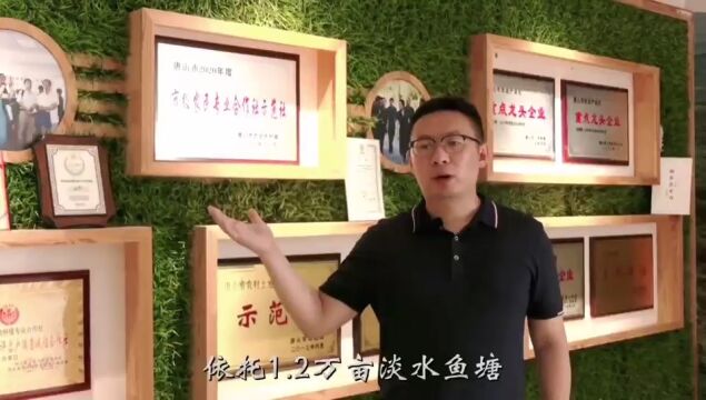 柏各庄镇:沿海经济强镇,生态鱼米之乡!(来源:网信滦南)