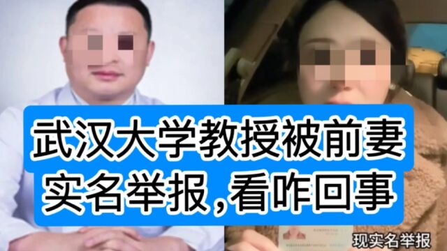 武汉大学教授被前妻实名举报