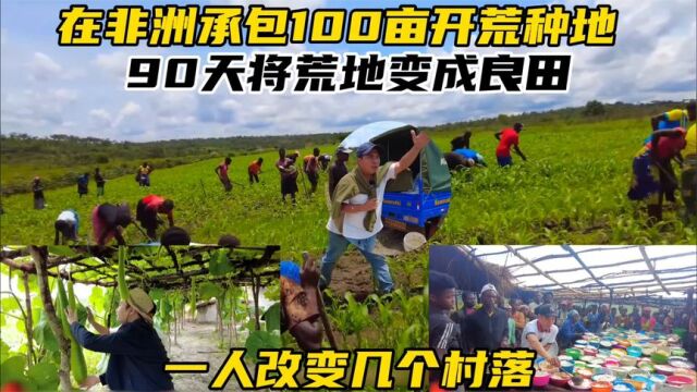 在非洲承包100亩开荒,90天将荒地变成良田,一人带动几个村落