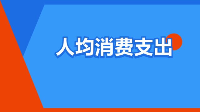 “人均消费支出”是什么意思?