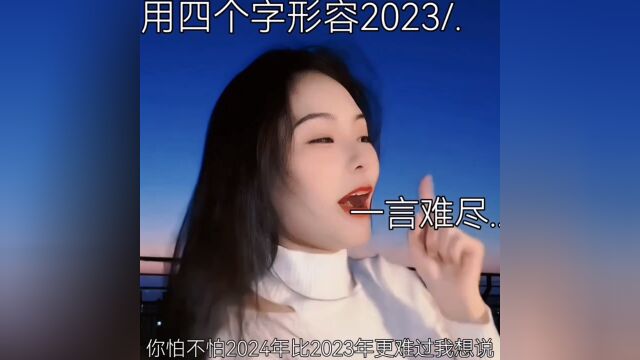 用四个字形容2023.一言难尽