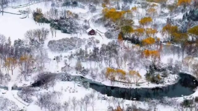 郑州北龙湖雪景,宛如水墨丹青画,国画果然是写实派