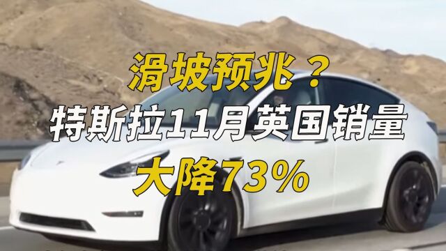 滑坡预兆?特斯拉11月英国销量大降73%