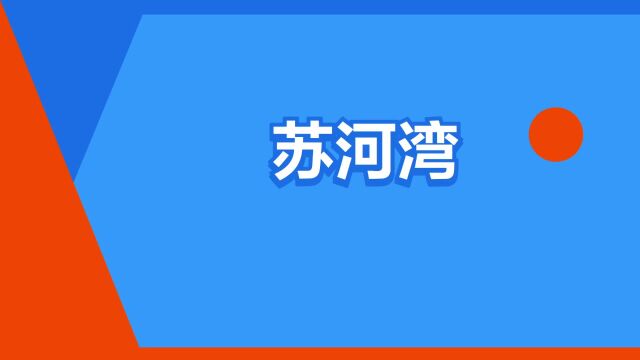 “苏河湾”是什么意思?