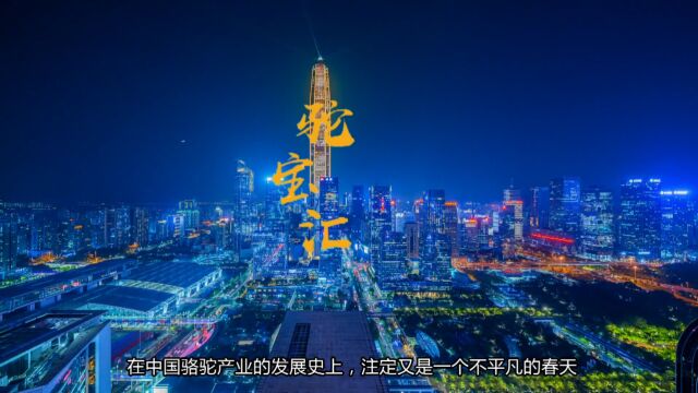 驼宝汇平台篇(高清版)