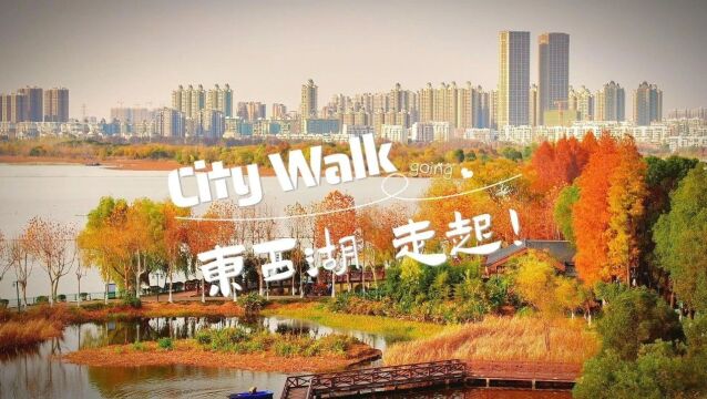 东西湖City walk! Go Go Go!