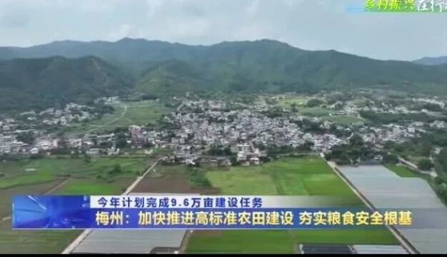 梅州加快建设高标准农田 今年计划完成9.6万亩