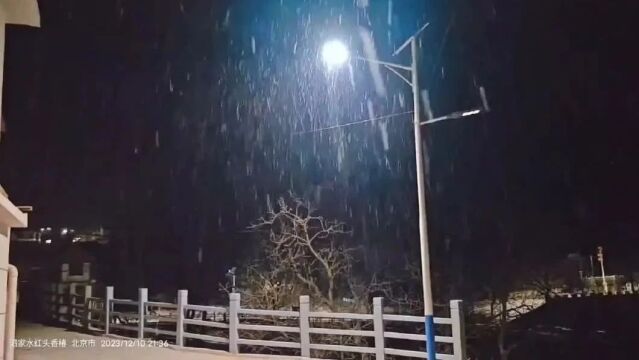 刚刚,北京城区也下雪了,多区打卡雪景!最新提醒——