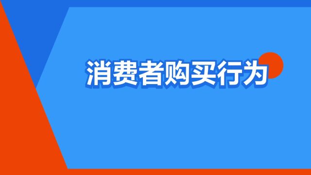 “消费者购买行为”是什么意思?