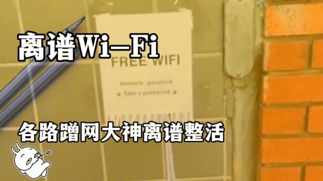 现在的WiFi 密码,主打的就是一个离谱#离谱#wifi #搞笑