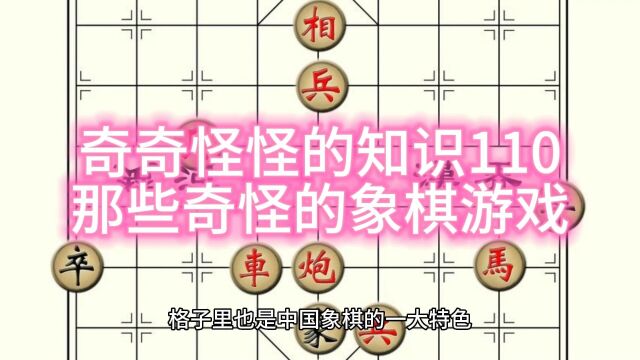 有804颗棋子的象棋你见过没