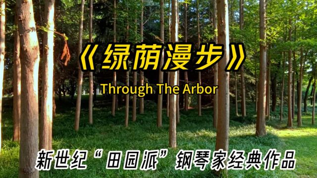 现代萧邦的著名钢琴曲《绿荫漫步》,用音乐感受大自然的美丽