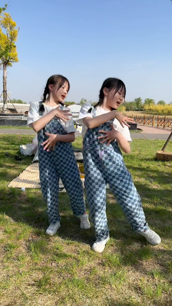 姐妹也忍不住终于下手啦还有谁没跳智秀的flower双胞胎一心一意双胞胎