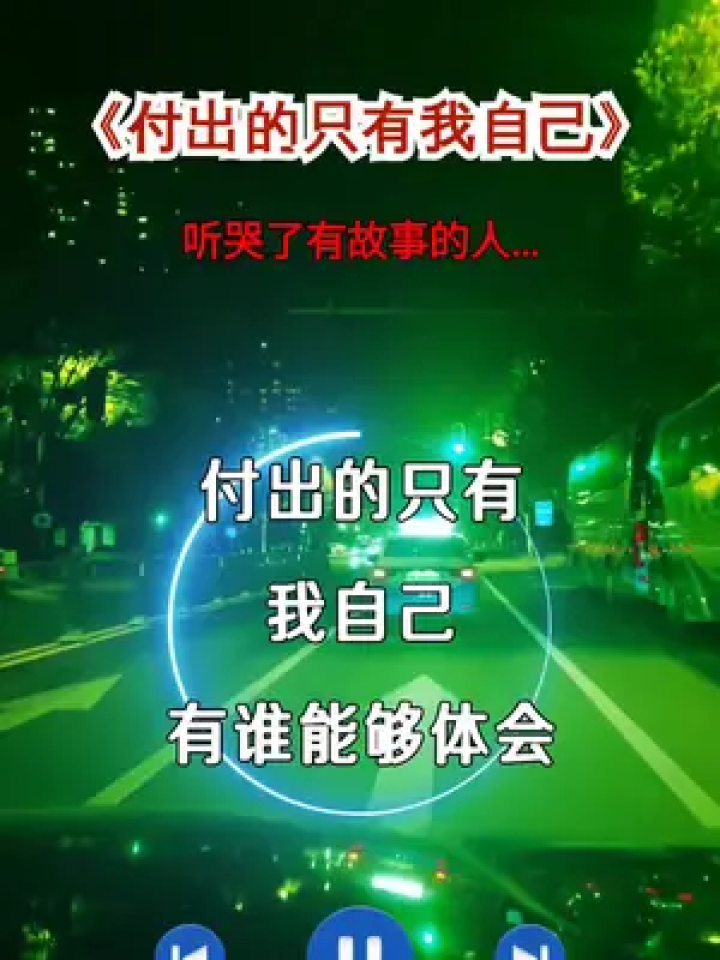 付出的只有我自己#歌詞句句入心#聽哭了多少有故事的人