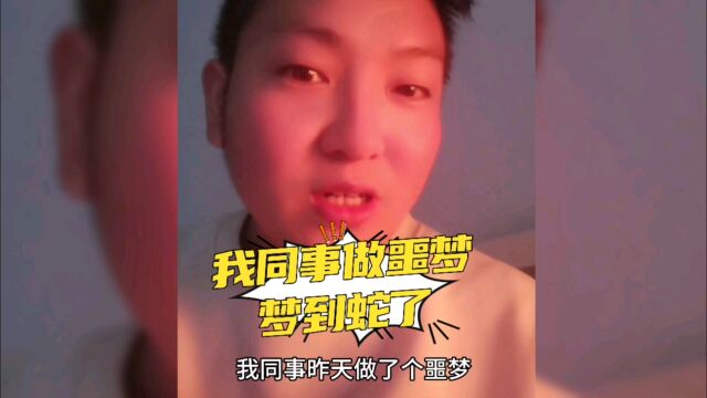 我同事做噩梦,梦到蛇了