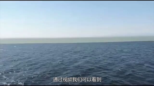 大西洋和太平洋的海水,为什么不能混合?难道真是两个龙王管的?脑洞冷知识