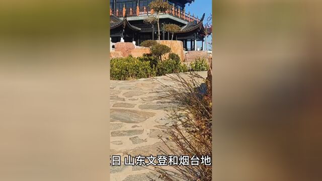 山东文登烟台大雪纷飞:自然之力的壮丽与社区凝聚力的展现