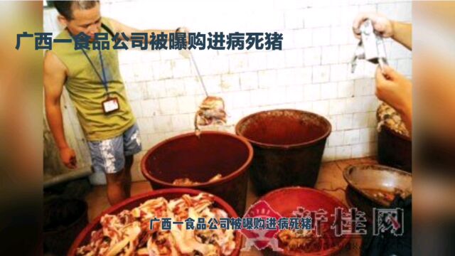 广西一食品公司被曝购进病死猪,加工后添加硼砂再销售,已涉嫌犯罪.