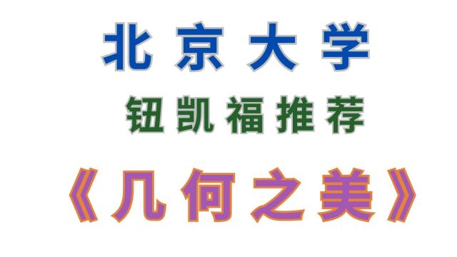 北大钮凯福推荐《几何之美》