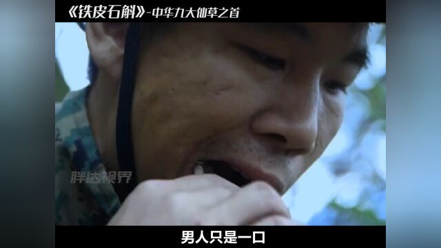 被誉为中华就大仙草之首,60年前就能卖30块钱一斤#非遗传承#铁皮石斛#纪录片解说#本草.