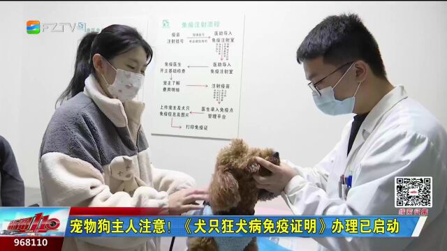 宠物狗主人注意!《犬只狂犬病免疫证明》办理已启动