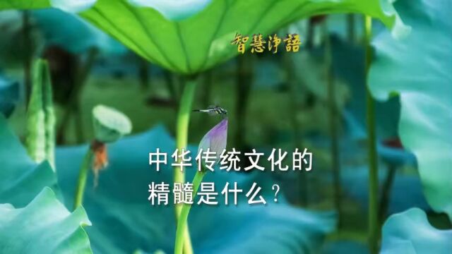 老法师开示:中华传统文化的精髓是什么?