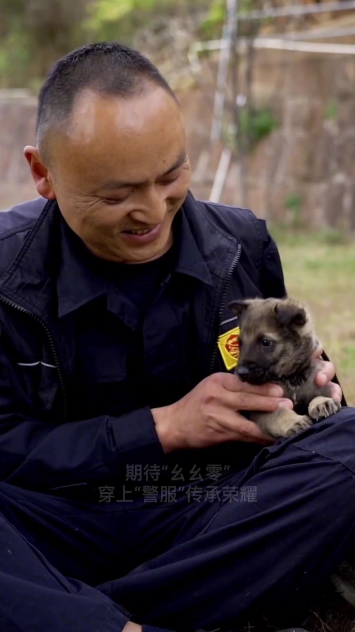 警犬生宝宝图片