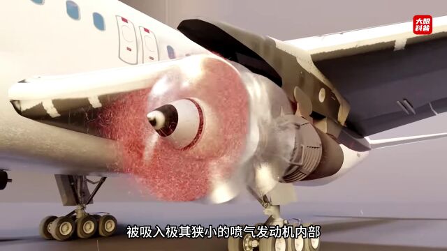 如果不幸被巨大的空客A380的发动机吸入,会发生什么?